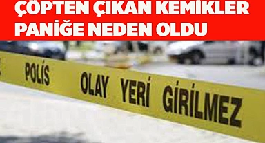 Çöpten çıkan kemikler paniğe neden oldu