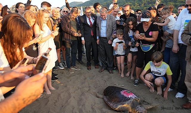 Deniz Kaplumbağaları Mavi Sularla Buluşturuldu