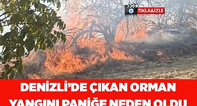 Denizli’de çıkan orman yangını paniğe neden oldu