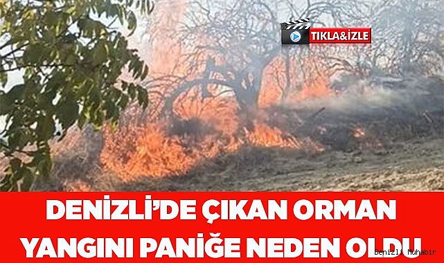Denizli’de çıkan orman yangını paniğe neden oldu