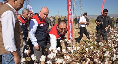 Denizli’de Pamuk Hasadı Başladı..
