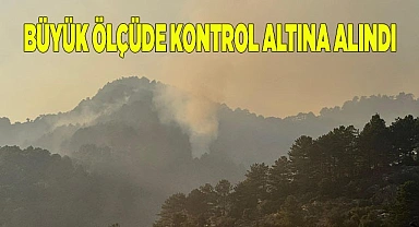 Denizli’deki orman yangını büyük ölçüde kontrol altına alındı