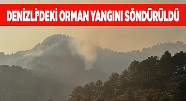 Denizli’deki orman yangını söndürüldü