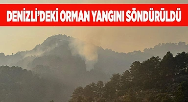 Denizli’deki orman yangını söndürüldü