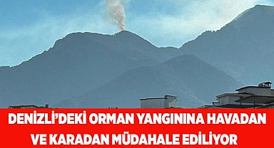 Denizli’deki orman yangınına havadan ve karadan müdahale ediliyor