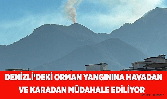 Denizli’deki orman yangınına havadan ve karadan müdahale ediliyor
