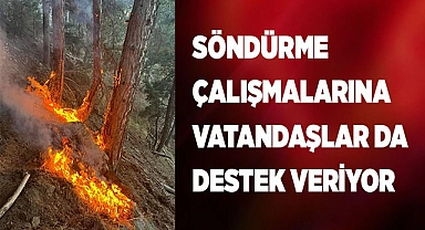 Denizli’deki orman yangınını söndürmek için vatandaşlar seferber oldu