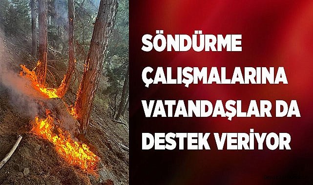 Denizli’deki orman yangınını söndürmek için vatandaşlar seferber oldu
