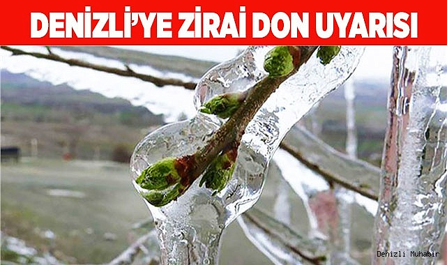 Denizli’ye zirai don uyarısı