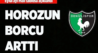 HOROZUN BORCU ARTTI