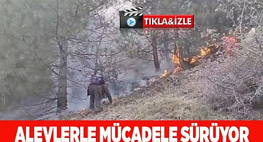 Sarp arazide devam eden orman yangınında alevlerle mücadele sürüyor