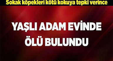 Yaşlı adam evinde ölü bulundu