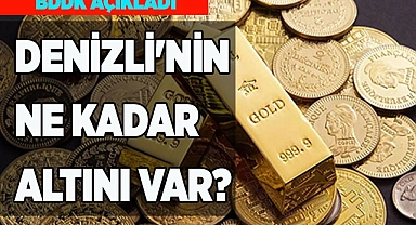 DENİZLİ'NİN NE KADAR ALTINI VAR?