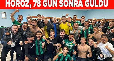 Denizlispor galibiyet hasretine deplasmanda son verdi