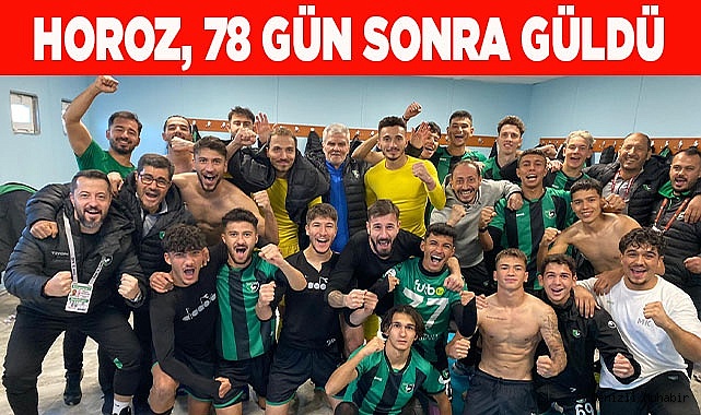 Denizlispor galibiyet hasretine deplasmanda son verdi