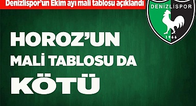 HOROZ’UN MALİ TABLOSU DA KÖTÜ