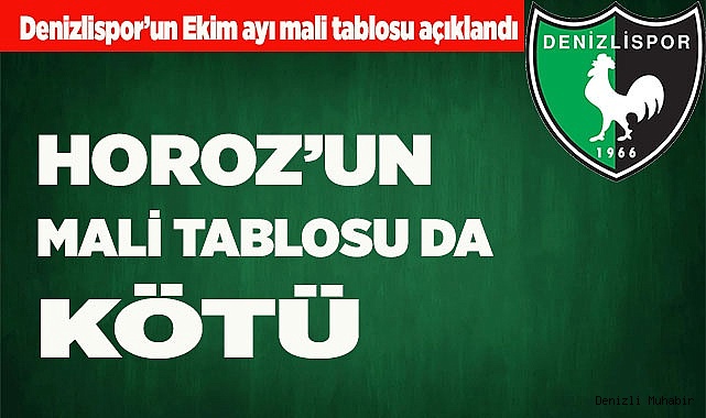 HOROZ’UN MALİ TABLOSU DA KÖTÜ