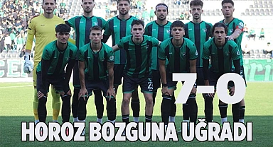 HOROZ YERLE YEKSAN OLDU