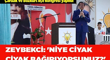 Zeybekçi: 'Niye ciyak ciyak bağırıyorsunuz?'