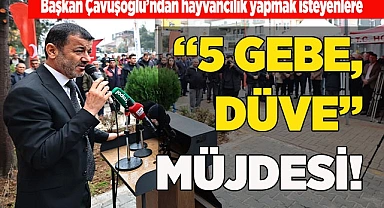 Başkan Çavuşoğlu; “Köyüne dönmek isteyene 5 gebe düve vereceğiz”