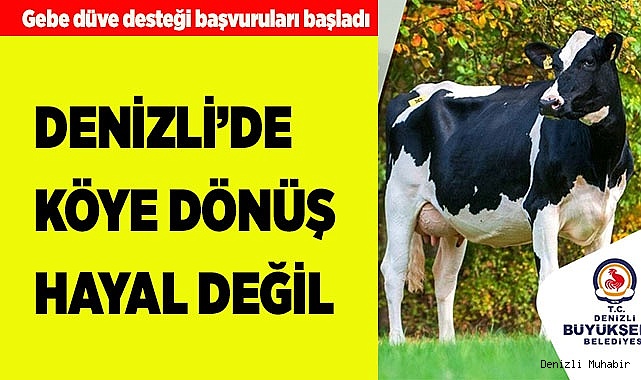 Gebe düve desteği başvuruları başladı