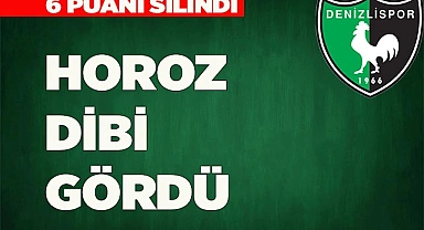  HOROZ DİBİ GÖRDÜ
