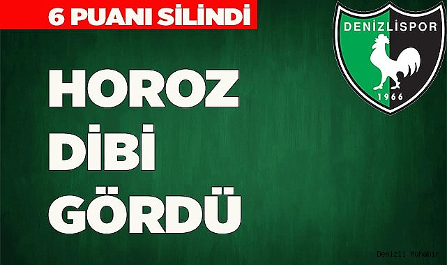  HOROZ DİBİ GÖRDÜ