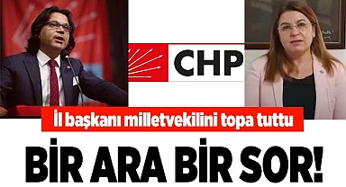 İL BAŞKANINDAN MİLLETVEKİLİNE: BİR ARA BİR SOR!