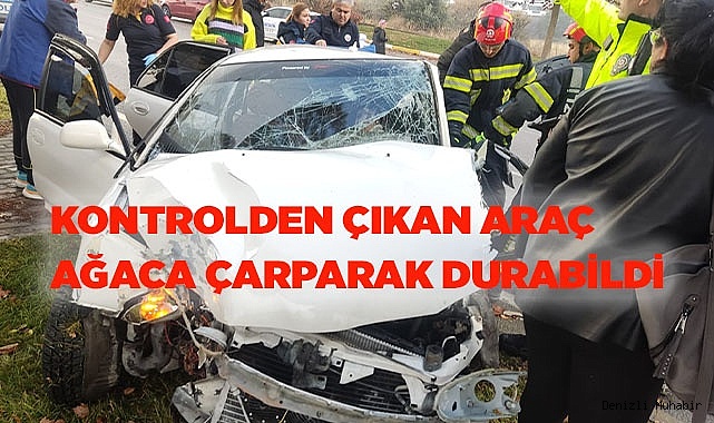 Kontrolden çıkan araç ağaca çarparak durabildi