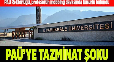 PAÜ Rektörlüğü, profesörün mobbing davasında kusurlu bulundu