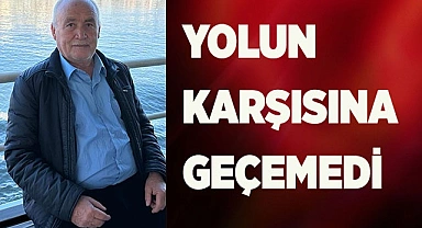 Yolun karşısına geçemedi