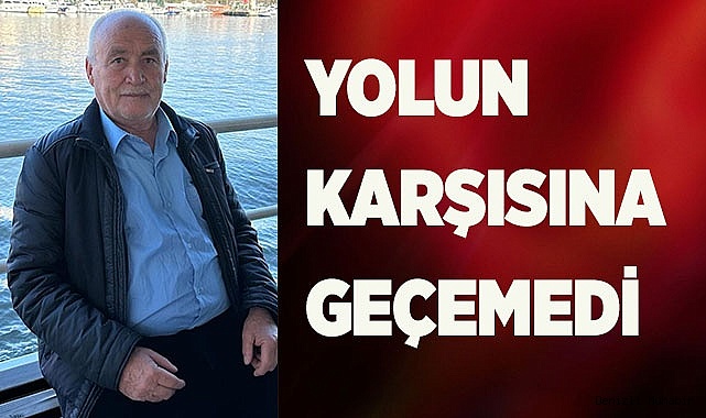 Yolun karşısına geçemedi