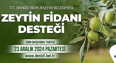 Zeytin fidanı desteği başvuru süresi uzatıldı