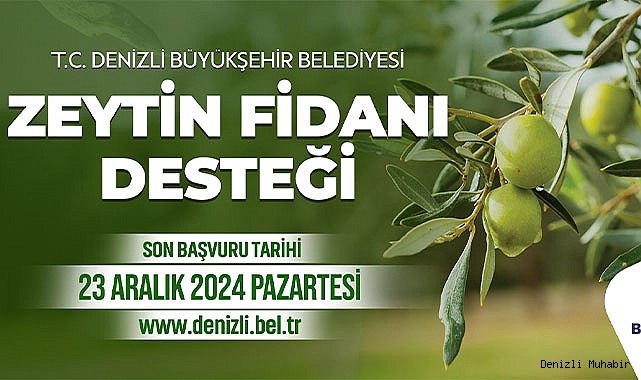 Zeytin fidanı desteği başvuru süresi uzatıldı