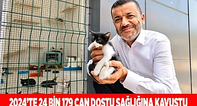 Denizli Büyükşehir 2024’te 24 bin 179 can dostu sağlığına kavuşturdu