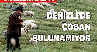 Denizli’de çoban bulunamıyor