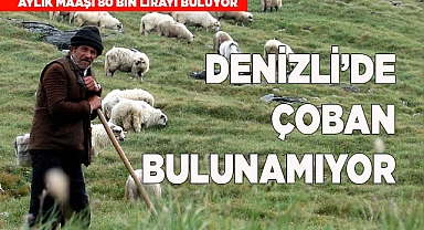 Denizli’de çoban bulunamıyor