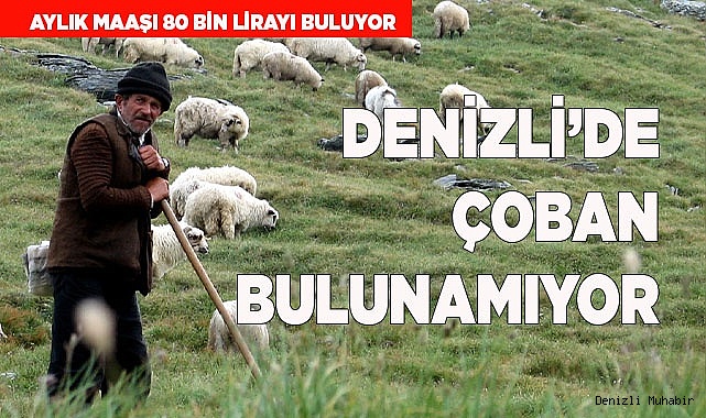 Denizli’de çoban bulunamıyor