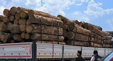 Denizli’de orman kaçakçılığına geçit yok