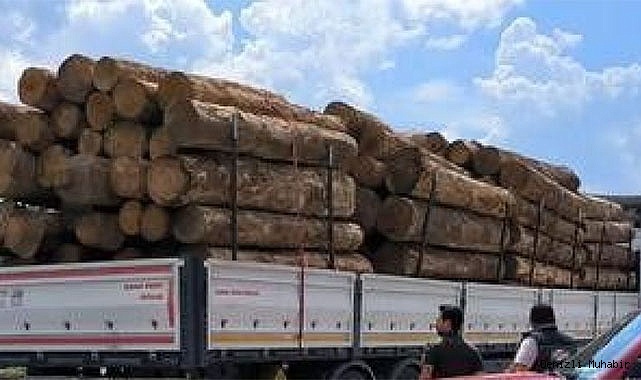 Denizli’de orman kaçakçılığına geçit yok