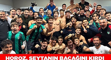 DENİZLİSPOR, NİLÜFER BELEDİYESİ'Nİ TEK GOLLE GEÇTİ