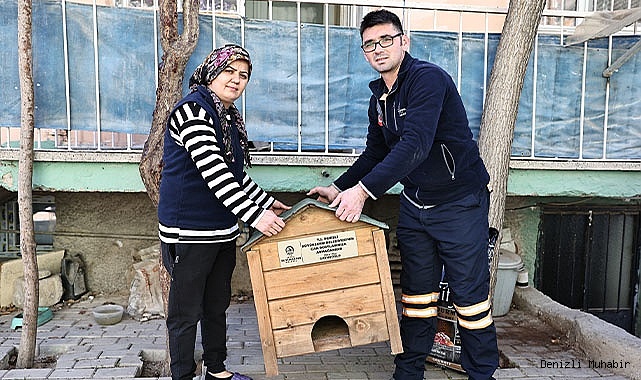 Hayvanseverler istedi, Başkan Çavuşoğlu sözünü tuttu