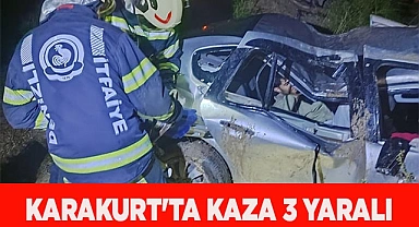 Karakurt'ta kaza 3 yaralı