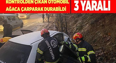 Kontrolden çıkan otomobil ağaca çarparak durabildi;3 yaralı