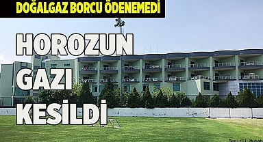 BORÇ ÖDENMEDİ, TESİSLERİN GAZI KESİLDİ
