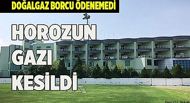 BORÇ ÖDENMEDİ, TESİSLERİN GAZI KESİLDİ