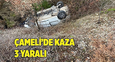 Çameli kirazlıyayla'da trafik kazası
