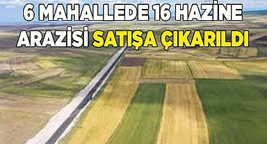 Denizli'de 6 mahallede 16 hazine taşınmazı satışa çıktı