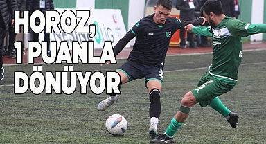 Denizlispor, puanla dönüyor