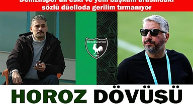 Horoz dövüşü